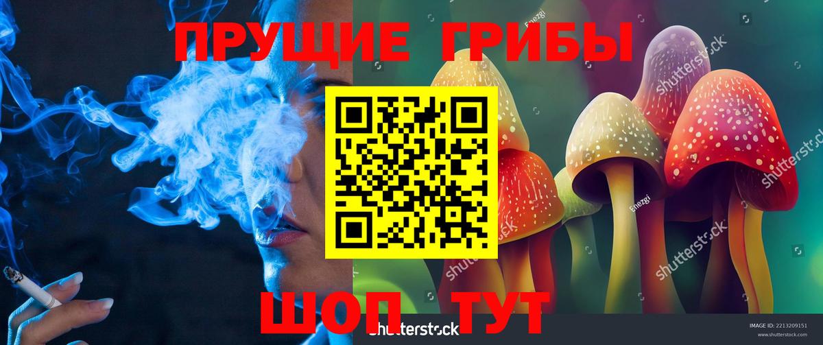 Усть-Кут  Псилоцибиновые грибы Magic Shrooms  Вход с VPN 